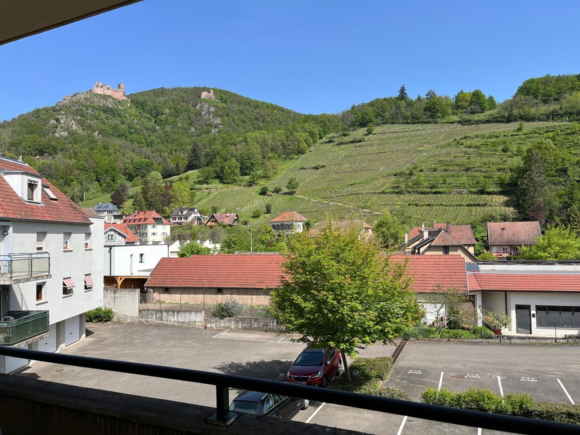 L'Aiglon Apartment Ribeauville  Exterior photo